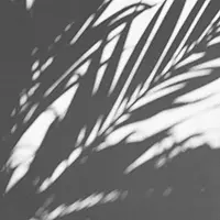 callme_esmail